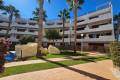 Resale - Apartment - Playa Flamenca - El Rincon