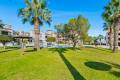 Resale - Apartment - Playa Flamenca - Jumilla