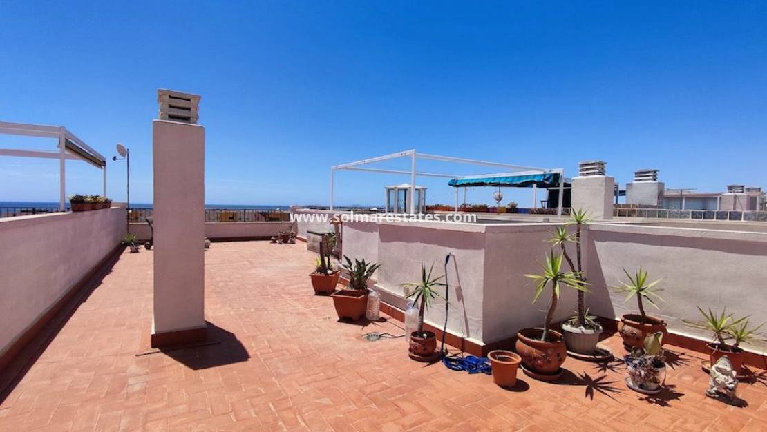 Resale - Apartment - Playa Flamenca - La Mirada