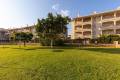 Resale - Apartment - Playa Flamenca - Laguna Golf