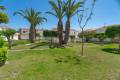 Resale - Apartment - Playa Flamenca - Las Chismosas