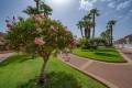 Resale - Apartment - Playa Flamenca - Zeniamar
