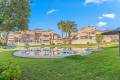 Resale - Apartment - Playa Flamenca - Zeniamar