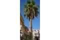 Resale - Apartment - Playa Flamenca