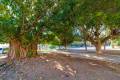 Resale - Apartment - Torrevieja - Acequion