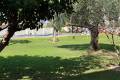 Resale - Apartment - Torrevieja - Beachside Torrevieja