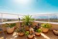 Resale - Apartment - Villamartin - Los Dolses