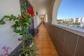 Resale - Apartment - Villamartin - Los Dolses