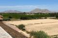 Resale - Appartement - Algorfa - Res Cecilia