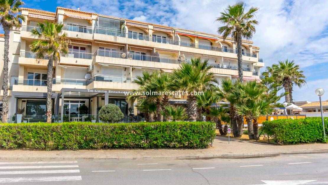 Resale - Appartement - Playa Flamenca - Beachside Playa Flamenca
