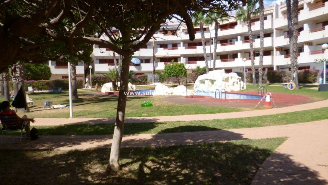 Resale - Appartement - Playa Flamenca - El Rincon