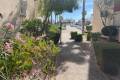 Resale - Appartement - Playa Flamenca - Jumilla