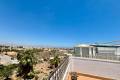 Resale - Appartement - Playa Flamenca - La Mirada