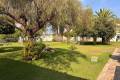 Resale - Appartement - Playa Flamenca - Las Chismosas