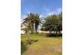 Resale - Appartement - Playa Flamenca - Las Chismosas