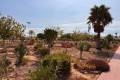 Resale - Appartement - Playa Flamenca - Las Chismosas