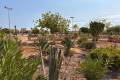Resale - Appartement - Playa Flamenca - Las Chismosas
