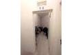 Resale - Appartement - Playa Flamenca - Zeniamar