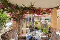 Resale - Appartement - Playa Flamenca - Zeniamar