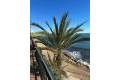 Resale - Appartement - Villamartin - Las Ramblas