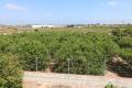 Resale - Country Property - Algorfa - Algorfa - Country