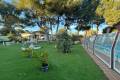 Resale - Detached Villa - Campoamor - Dehesa De Campoamor