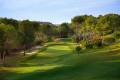 Resale - Detached Villa - Campoamor - Las Colinas Golf and Country Club