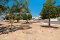 Resale - Detached Villa - Los Montesinos - La Herrada