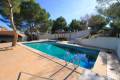 Resale - Detached Villa - Mil Palmeras - Mil Palmeras - Town