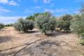 Resale - Detached Villa - Orihuela - La Matanza