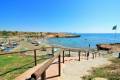 Resale - Detached Villa - Playa Flamenca - La Pinada
