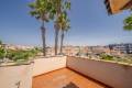 Resale - Detached Villa - Playa Flamenca - San Jose