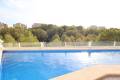 Resale - Detached Villa - Playa Flamenca