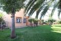 Resale - Detached Villa - Torrevieja - El Chaparral