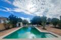 Resale - Detached Villa - Villamartin - Las Filipinas