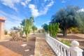 Resale - Detached Villa - Villamartin - Las Filipinas