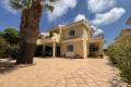 Resale - Detached Villa - Villamartin - Los Dolses