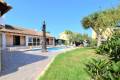 Resale - Detached Villa - Villamartin - Los Dolses