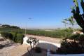 Resale - Freistehende Villa - Algorfa - Lomas de La Juliana