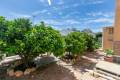 Resale - Freistehende Villa - La Zenia