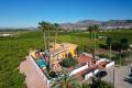 Resale - Freistehende Villa - Orihuela
