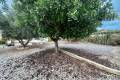 Resale - Freistehende Villa - San Fulgencio - San Fulgencio - Country