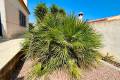 Resale - Fristående villa - Torrevieja - San Luis