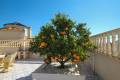 Resale - Fristående villa - Villamartin - El Galan