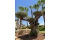 Resale - Lägenhet - Campoamor - Las Colinas Golf and Country Club