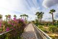 Resale - Lägenhet - Playa Flamenca - Laguna Golf