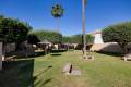 Resale - Lägenhet - Torrevieja - Jardin del Mar