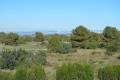 Resale - Lägenhet - Villamartin - Mirador Del Mediterraneo