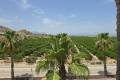 Resale - Semi Detached House - Algorfa - La Finca Golf Resort
