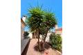 Resale - Villa individuelle - Torrevieja - San Luis